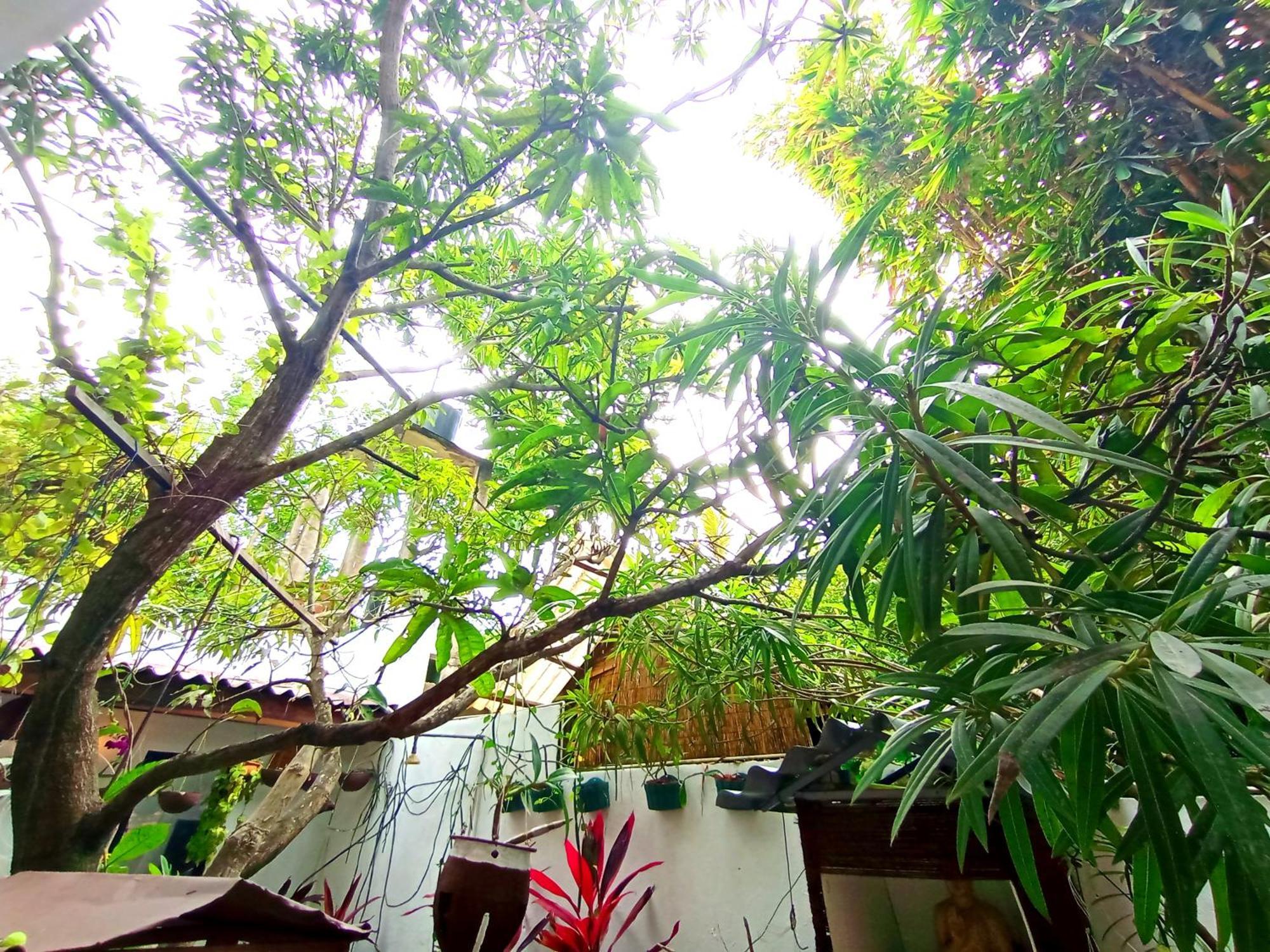 Ramesh Guesthouse Mirissa Luaran gambar