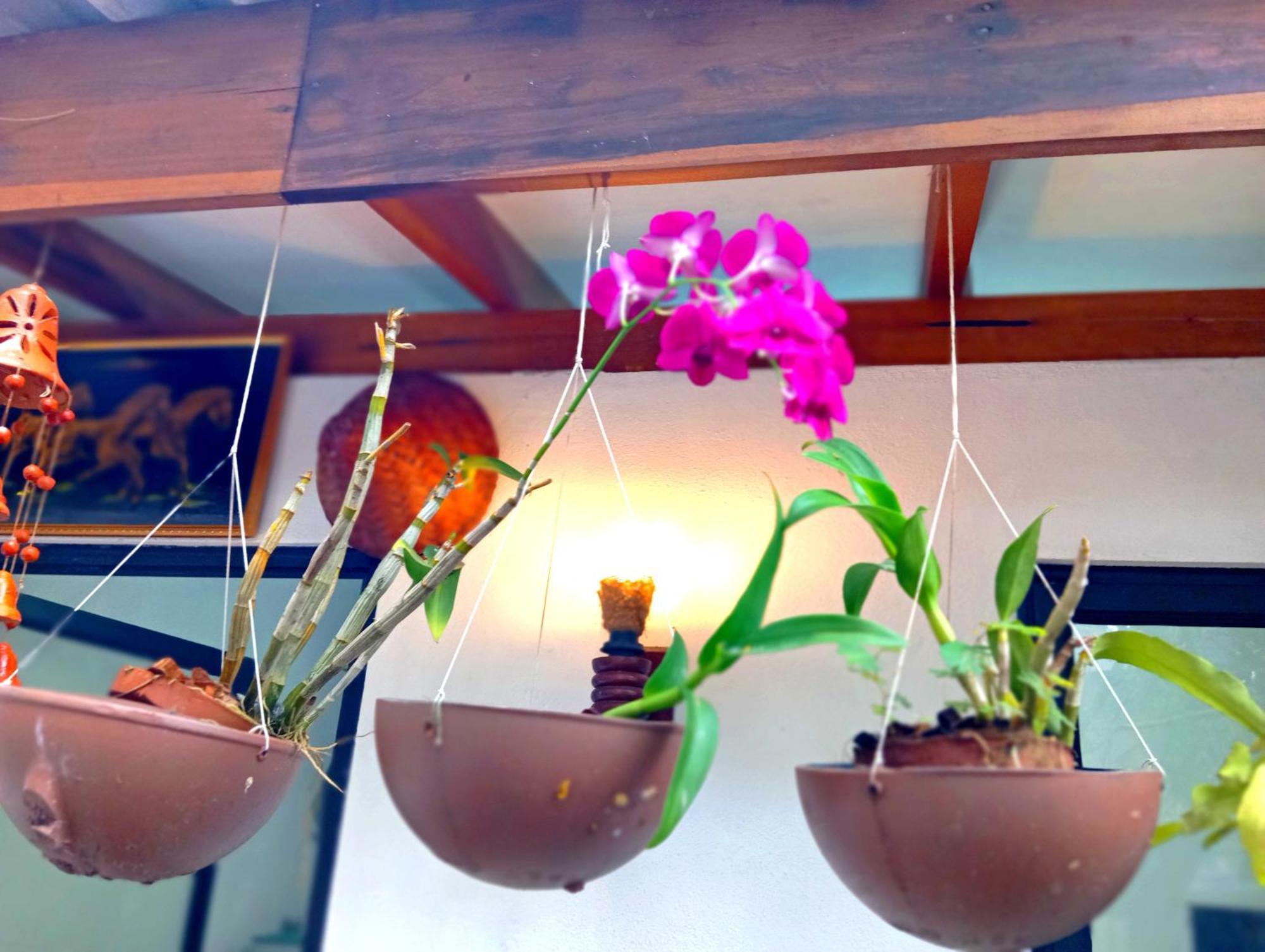 Ramesh Guesthouse Mirissa Luaran gambar